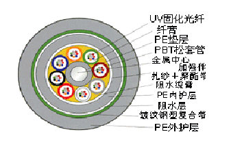 16550124588636.png 0005CC.png